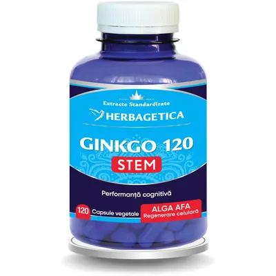 Ginkgo 120 Stem 120Cps