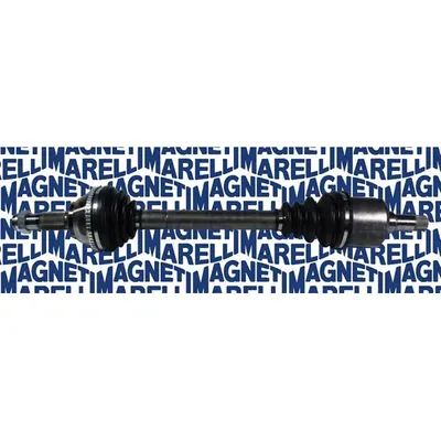 Planetara MAGNETI MARELLI 302004190031
