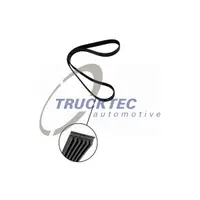 Curea transmisie cu caneluri TRUCKTEC AUTOMOTIVE 03.19.039