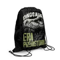 Sac sport, Dino, 46x35.5 cm, S-Cool
