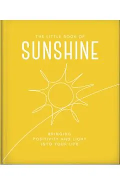The Little Book of Sunshine: Little Rays of Light to Brighten Your Day