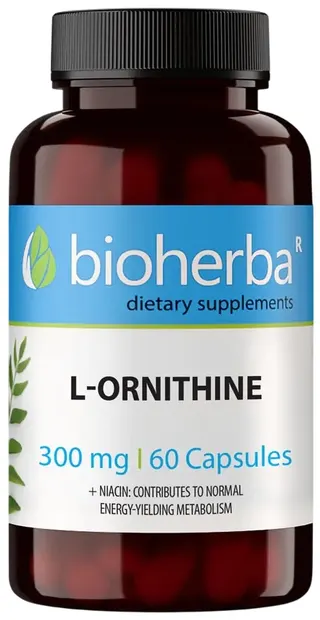 L-Ornithine, 300 mg, 60 capsule, Bioherba