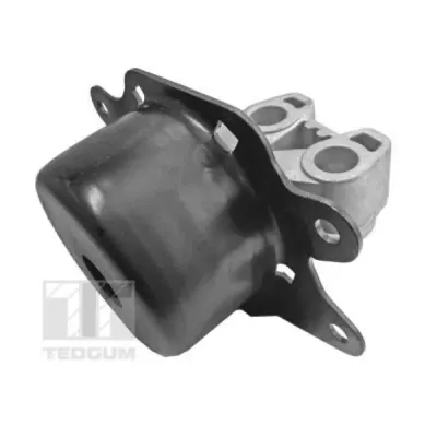 Suport motor TEDGUM 00504657