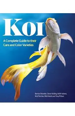 Koi: A Complete Guide to Their Care and Color Varieties