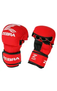 Manusi ZEBRA MMA Sparring Rosi