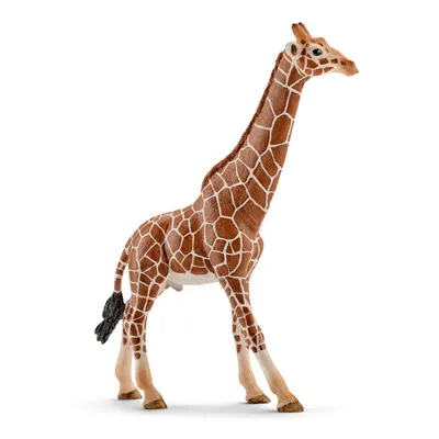 Figurina Schleich Wild Life Africa - Girafa reticulata, mascul