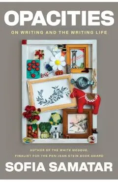 Opacities: On Writing and the Writing Life
