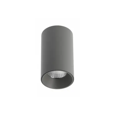 Spot - LED luminaire PRIME, 10W,1000lm,AC220-240V,50/60 Hz,PF>0,5,Ra≥80,IP20,IK06,36degrees,4000K,gray