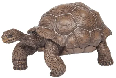 Figurina Papo Wild Animal Kingdom – Testoasa elefant