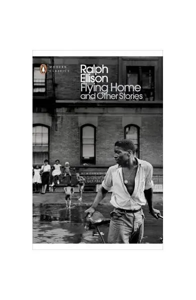 Flying Home And Other Stories - Paperback brosat - John Callahan