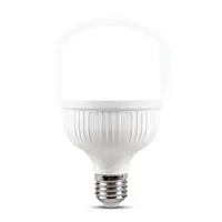 Bec Led 30w E27 6500k