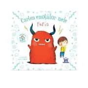 Cartea emotiilor mele. Furia