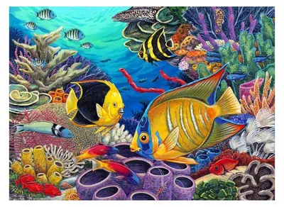 Set de pictură cu vopsele acrilice Royal - Recif de corali, 39 x 30 cm