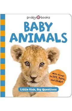 Baby Animals (Little Kids, Big Questions)