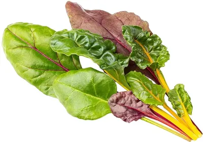 Semințe Click and Grow - Beta vulgaris var. cicla, 3 rezerve