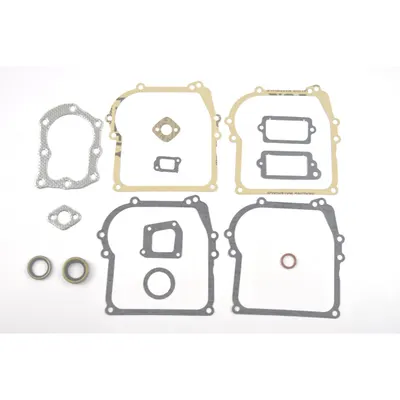 Set Garnituri Briggs&stratton 450 500 Classic