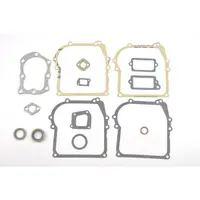 Set Garnituri Briggs&stratton 450 500 Classic
