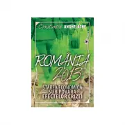 Romania 2013: starea economica sub povara efectelor crizei