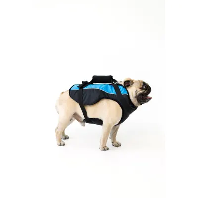 Vesta de salvare AVA pentru caini, model DOGGY, ajustabila