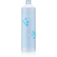 Echosline Volume Shampoo șampon cu efect de volum pentru părul fin 1000 ml