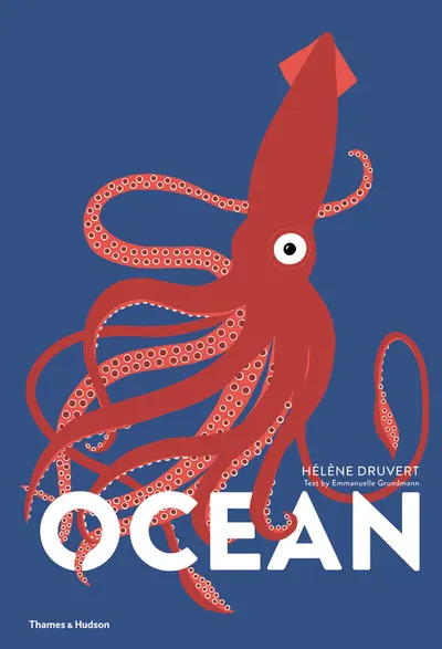 Ocean (Lift the Flap Book)