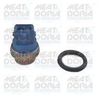 Senzor temperatura lichid racire (numar pini: 2, albastru) potrivit VW TRANSPORTER T4 2.4D-2.8 09.90-06.03