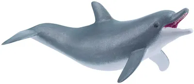 Figurina Papo Marine Life – Delfin