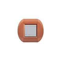 Placa ornament ,2 module, rosu de siena, living light, BTICINO