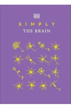 Simply the Brain