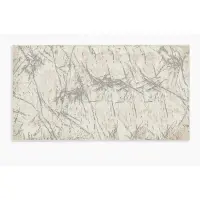 Covor Modern, Elegant, 300x400cm, gros si pufos, SHINNY V1, Gri/Alb