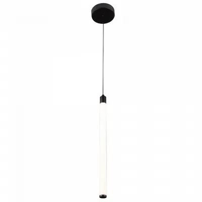 Corp de iluminat suspendat RaynP021PL-L10B