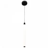 Corp de iluminat suspendat RaynP021PL-L10B
