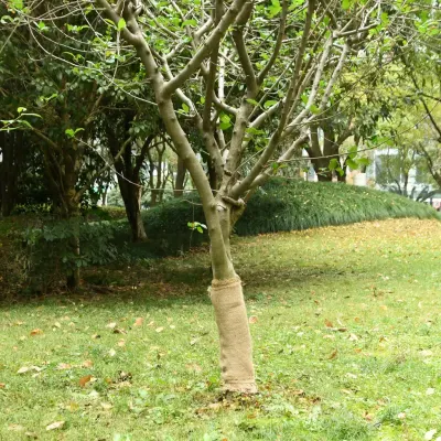 vidaXL Rolă de iută 0,5x5 m 100% iută 200 g/m²