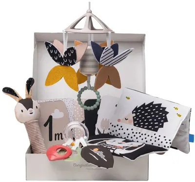Set de joacă pentru nou-născuți Taf Toys - Elemente alb-negru, 10 piese