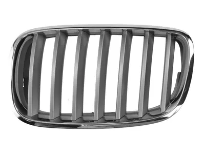 Grila fata Stanga argintiu/crom potrivit BMW X5 E70, X6 E71, E72 3.0-4.8 2006-2014 pana in 2014