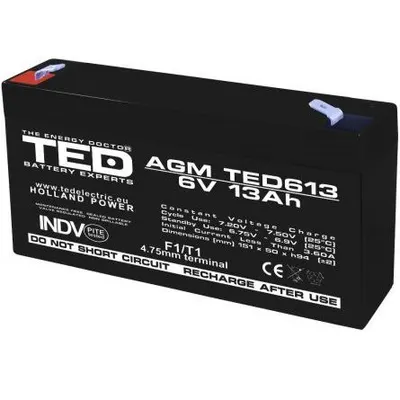 Acumulator AGM VRLA 6V 13A F1 TED Battery Expert Holland TED003010 TED613