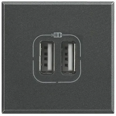 Incarcator USB dublu Axolute - 5 V - 230 V - Antracit - 2 module