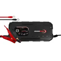 Redresor Inteligent 12V 24V 25A Lemania