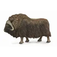 Bivol - Collecta