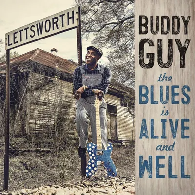 The Blues Is Alive And Well - Vinyl
