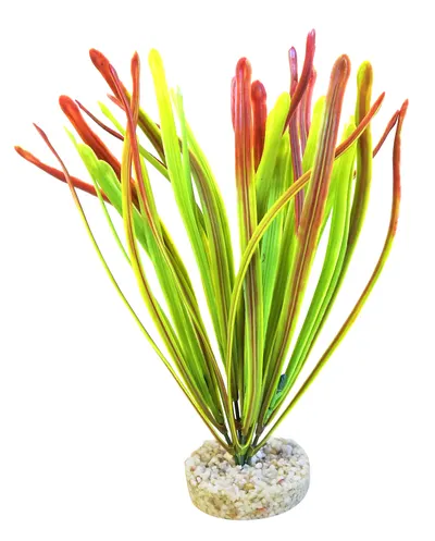 Sydeco Planta Acorus Vivarium 30 cm 385104