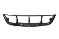 Grila radiator potrivit FORD USA MUSTANG 3.7/5.0 dupa 2010 2013-2015 - (interior, negru)