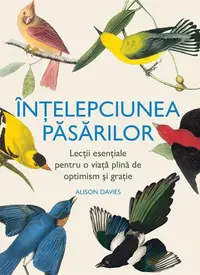 Înțelepciunea păsărilor - Hardcover