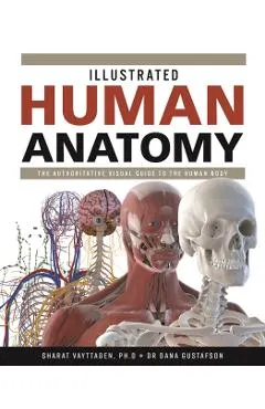 Illustrated Human Anatomy: The Authoritative Visual Guide to the Human Body
