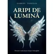 Aripi de lumina. Povestiri vindecatoare despre Arhangheli