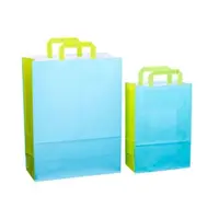 Sacosa cadou din hartie - Primavara vara (S - 22 x 10.5 x 32cm, 70g)