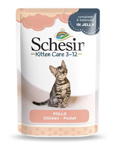Hrana umeda pisici, Schesir Kitten Chicken Fillets in Jelly, 85 g