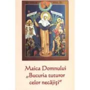 Maica Domnului „Bucuria tuturor celor necajiti”