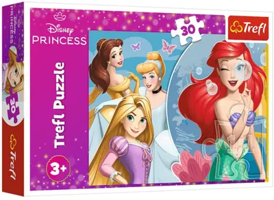 Puzzle pentru copii Trefl de la 30 piese -zi frumoasa pentru printese