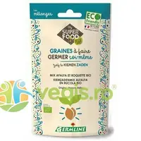 Mix Seminte de Alfalfa si Rucola pentru Germinat Ecologic/Bio 150g